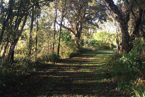 Coffs Harbour To Sawtell Bike Ride - Find Attractions 7