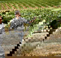 VIP Soil-To-Cellar Experience - Find Attractions