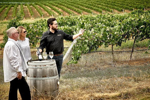 VIP Soil-To-Cellar Experience - Find Attractions 0