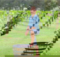 Hunter Valley Grape Stomping - Find Attractions