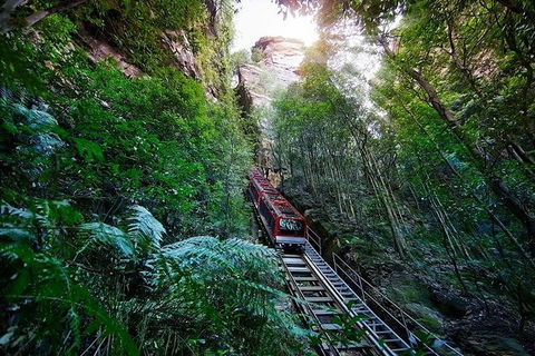 All-Inclusive Blue Mountains Tour In A Luxury Mercedes Sprinter - Find Attractions 8