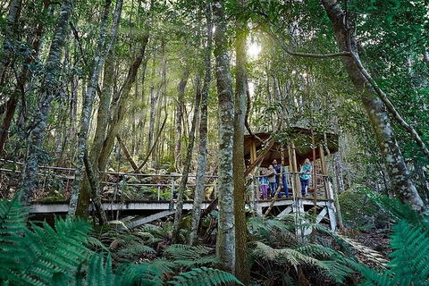 All-Inclusive Blue Mountains Tour In A Luxury Mercedes Sprinter - Find Attractions 6
