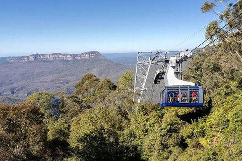 All-Inclusive Blue Mountains Tour In A Luxury Mercedes Sprinter - Find Attractions 11