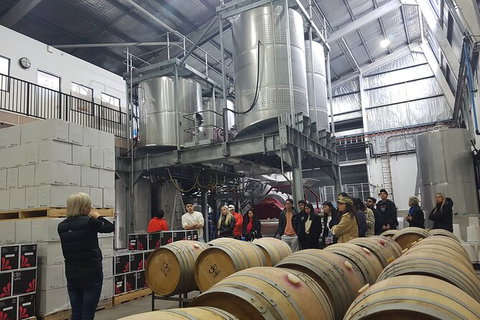 Hunter Valley Small Group Wine, Gin, Cheese & Chocolate Tour - Find Attractions 6