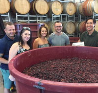Hunter Valley Small Group Wine Gin Cheese  Chocolate Tour - Find Attractions