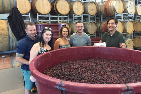 Hunter Valley Small Group Wine, Gin, Cheese & Chocolate Tour - Find Attractions 0