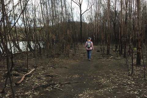 Fishermans Paradise Eco-walk - Find Attractions 5