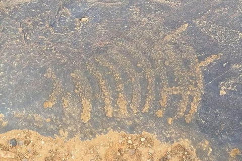 Aboriginal Rock Art - Find Attractions 0