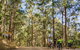 Guided E Bike Tour - Unicorn Falls & National Park - thumb 10