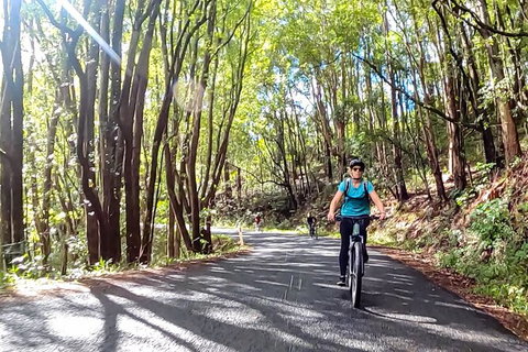 Guided E Bike Tour - Unicorn Falls & National Park - Find Attractions 16