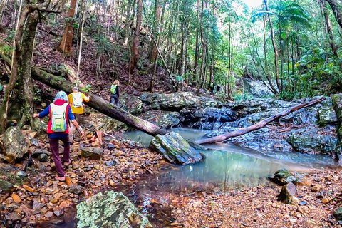 Guided E Bike Tour - Unicorn Falls & National Park - Find Attractions 17
