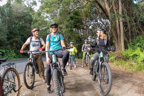Guided E Bike Tour - Unicorn Falls & National Park - Find Attractions 11