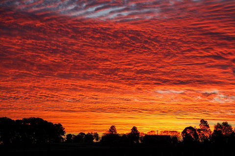 Private Full-Day Wine Tour In Hunter Valley - Find Attractions 0