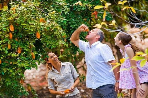 Full-Day Guided Tour Byron Bay With Pickup - Find Attractions 1