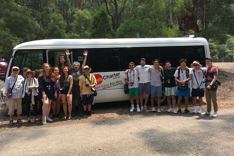Private 24 Seat Mini Bus Sydney CBD To Penrith Stadium Transfer - Find Attractions 4
