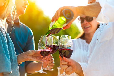All-inclusive Morning Wine Tour In Orange - Find Attractions 4