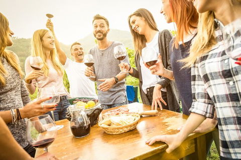 All-inclusive Morning Wine Tour In Orange - Find Attractions 6