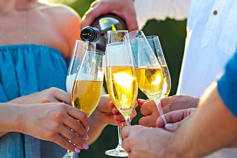 All-inclusive Morning Wine Tour In Orange - Find Attractions 9