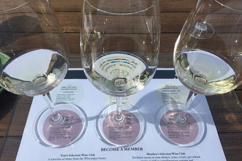 All-inclusive Morning Wine Tour In Orange - Find Attractions 5