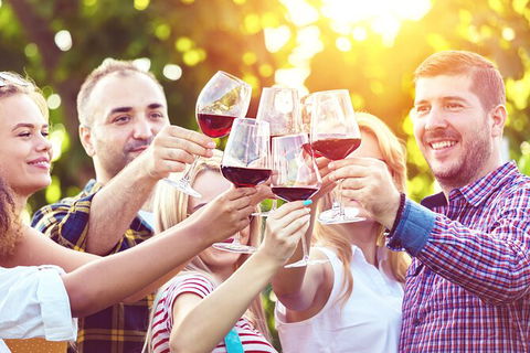 All-inclusive Morning Wine Tour In Orange - Find Attractions 2