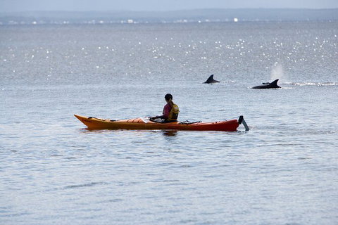 Half-Day Jervis Bay Sea Kayak Tour - Find Attractions 4