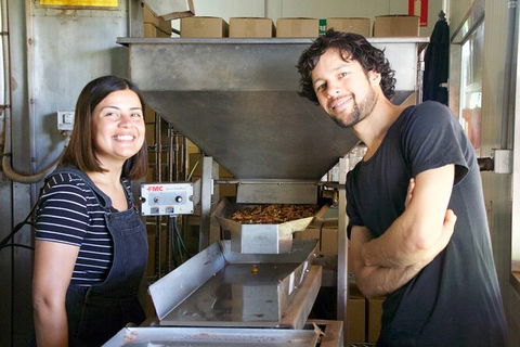 Pecan Farm Tour And Workshop, Byron Bay Hinterland - Find Attractions 7