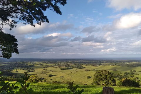 Pecan Farm Tour And Workshop, Byron Bay Hinterland - Find Attractions 1