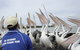 Central Coast Private Tour From Sydney, Plus Included Australian Reptile Park - thumb 4