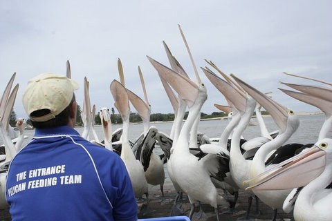 Central Coast Private Tour From Sydney, Plus Included Australian Reptile Park - Find Attractions 4