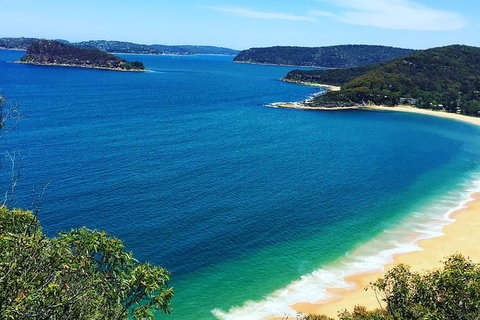 Central Coast Private Tour From Sydney, Plus Included Australian Reptile Park - Find Attractions 0