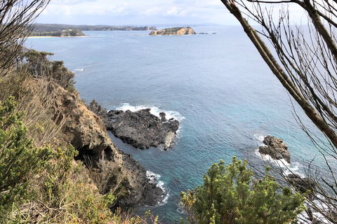 South Coast Photography Field Day - Find Attractions 8