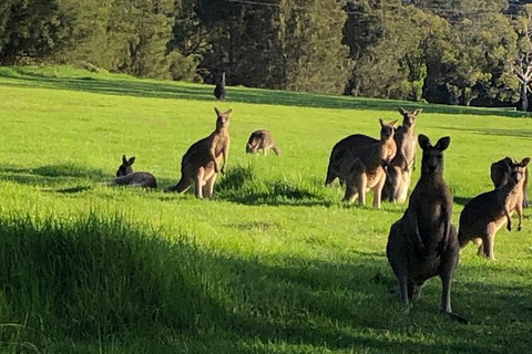 South Coast Photography Field Day - Find Attractions 6