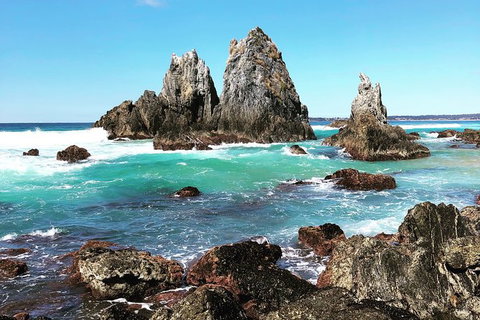 South Coast Photography Field Day - Find Attractions 0
