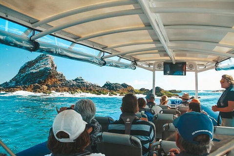 Julian Rocks Byron Bay Cruise - Find Attractions 13