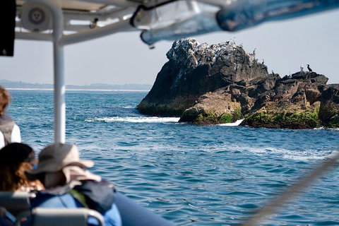 Julian Rocks Byron Bay Cruise - Find Attractions 20