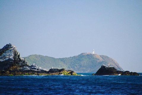 Julian Rocks Byron Bay Cruise - Find Attractions 2