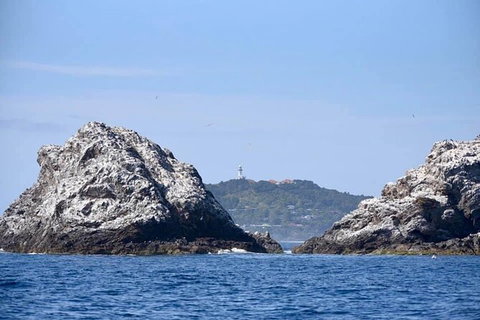 Julian Rocks Byron Bay Cruise - Find Attractions 14