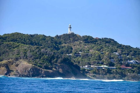 Julian Rocks Byron Bay Cruise - Find Attractions 7