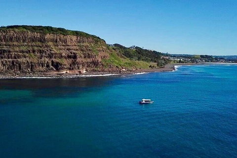 Julian Rocks Byron Bay Cruise - Find Attractions 6