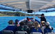 Julian Rocks Byron Bay Cruise - thumb 11