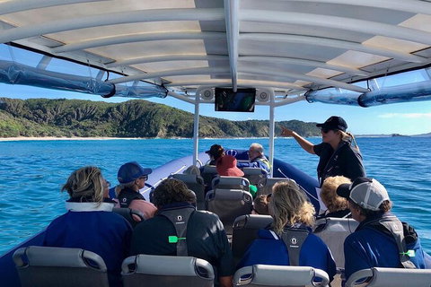 Julian Rocks Byron Bay Cruise - Find Attractions 11