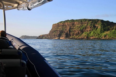 Julian Rocks Byron Bay Cruise - Find Attractions 17