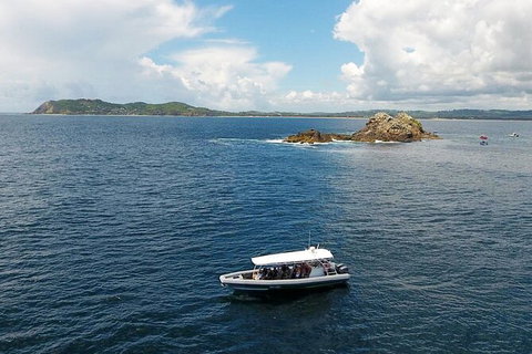 Julian Rocks Byron Bay Cruise - Find Attractions 0