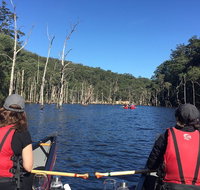 Canoes Cool Climate Wines  Canaps - Kangaroo Valley - Find Attractions