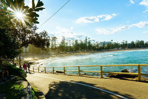Sydney With Bondi And Beaches Essentials Private Day Tour - Find Attractions 8