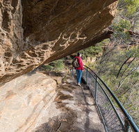 Blue Mountains Highlights  Wildlife Park - Find Attractions