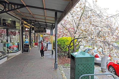 Blue Mountains Highlights, Wildlife Park And Scenic World Full Day Private Tour - Find Attractions 2