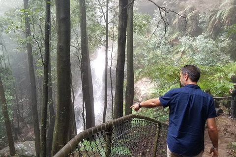 Blue Mountains Highlights, Wildlife Park And Scenic World Full Day Private Tour - Find Attractions 6