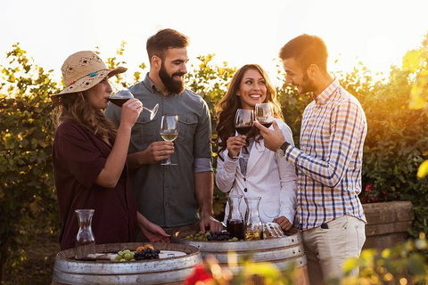 Hunter Valley Highlights Private Wine Tour From Sydney - Find Attractions 0