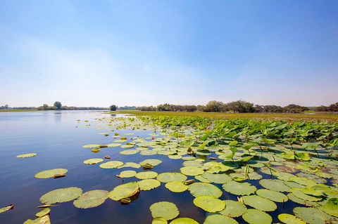 Jumping Crocs & Nature Adventure Cruise From Darwin - Find Attractions 8